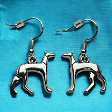 Silvery greyhound lurcher for sale  BARNSLEY