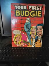 First budgie for sale  Bangor