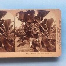 Stereoview card real for sale  TELFORD