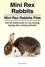 Mini rex rabbits. for sale  Jessup
