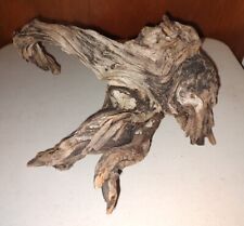 Large driftwood root for sale  Poughkeepsie