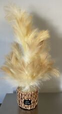 Pampas grass christmas for sale  Canal Winchester