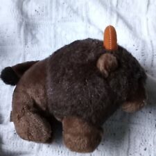 Cute buffalo bison for sale  Parksville