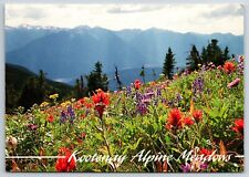 Postcard kootenay alpine for sale  El Paso