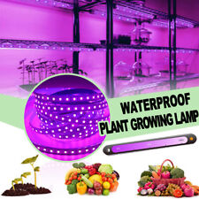 5M/300LED Grow Light Strip Full Spectrum Lamp Waterproof for Indoor Veg Plant for sale  Shipping to South Africa
