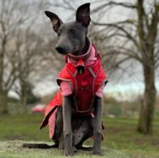 whippet coat for sale  LIVERPOOL