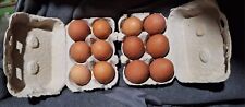 fertile hatching eggs for sale  Ireland