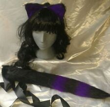 Black purple cat for sale  BRISTOL