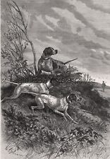 Punteros de perro caza en el campo (identificación de perrera con nombre) estampado antiguo grande de la década de 1880 segunda mano  Embacar hacia Argentina
