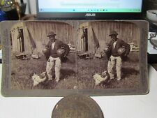 Underwood & Underwood Stereoview Card Black Man Watermelons Chicken, used for sale  Shipping to South Africa
