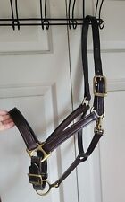 G Passier & Sohn Havana Horse/Full Square Raised/Padded Halter for sale  Shipping to South Africa