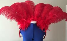Showgirl feather collars for sale  ASHINGTON