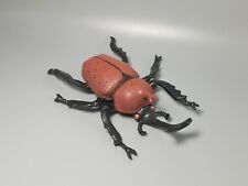 Japanese rhinoceros beetle for sale  Fair Lawn