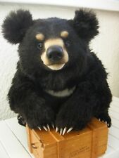 Henry black bear for sale  ST. IVES