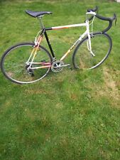 Classic 1990 raleigh for sale  WORCESTER