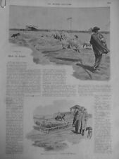 1897 animals sheep d'occasion  Expédié en Belgium