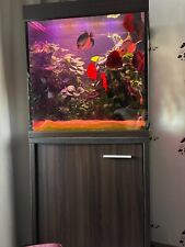 Eheim aquarium scubacube gebraucht kaufen  Machern