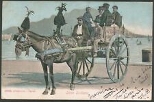 Italy 1905 horse for sale  SOUTHEND-ON-SEA