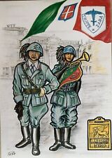 Cartolina truppe frontiera usato  Vestone