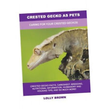 Crested gecko pets for sale  UK