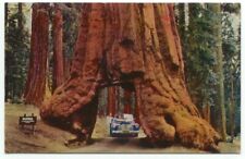 vintage redwoods yosemite for sale  North Haven