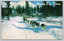 Postcard alaska husky for sale  Franktown