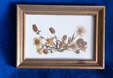 Framed natural pressed for sale  Ithaca