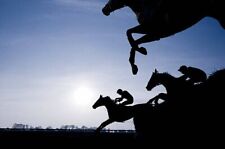 Horse racing system for sale  BELFAST