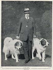 GREAT PYRENEES PYRENEAN MOUNTAIN DOG DOGS AND GENTLEMAN OWNER OLD 1934 PRINT, used for sale  COLEFORD