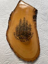 Imán de refrigerador de recuerdo de secuoyas de California Muir Woods monumento nacional segunda mano  Embacar hacia Argentina
