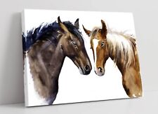 Brown watercolour horses for sale  LONDONDERRY