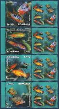 Romania 2012 pesci usato  Trambileno