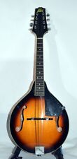 Rogue 100a mandolin for sale  San Diego