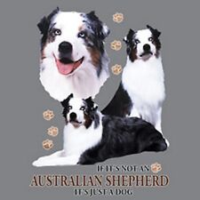 Australian shepherd dog for sale  Minneapolis
