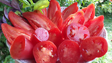 Graines tomate pertchik d'occasion  Poisy