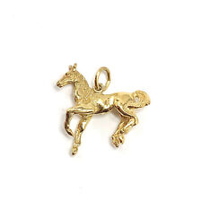 Golden gelding sterling for sale  Bradenton