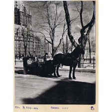 Quebec horse drawn for sale  GLASGOW