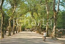 bicicletta viareggio usato  Italia