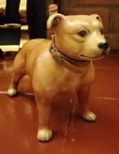 pitbull terrier for sale  RUSHDEN