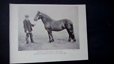 C1910 print highland for sale  UK