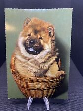 Postcard chow puppy for sale  Batavia