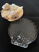 Handmade resin scallop for sale  TAMWORTH