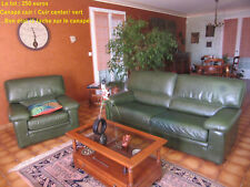 Canapé  en cuir vert  3 places et fauteuil de salons d'occasion  Le Loroux-Bottereau