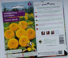 Sonnenblume teddy bear gebraucht kaufen  Rostock