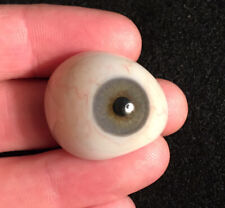 Vintage prosthetic eye for sale  Cumberland