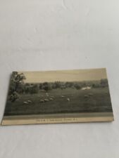 Postcard view pynes for sale  Richboro