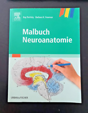 Malbuch neuroanatomie buch gebraucht kaufen  Antdorf