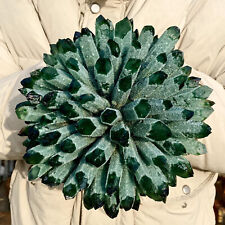 10,6 lb novo achado verde fantasma cristal de quartzo aglomerado amostra mineral cura comprar usado  Enviando para Brazil