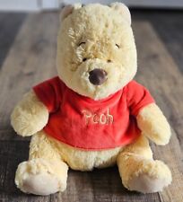 Disney baby winnie for sale  Greenwich