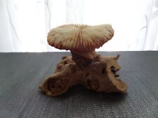 Coral mushroom drift for sale  Vista